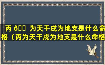 丙 🐠 为天干戌为地支是什么命格（丙为天干戌为地支是什么命格的人）